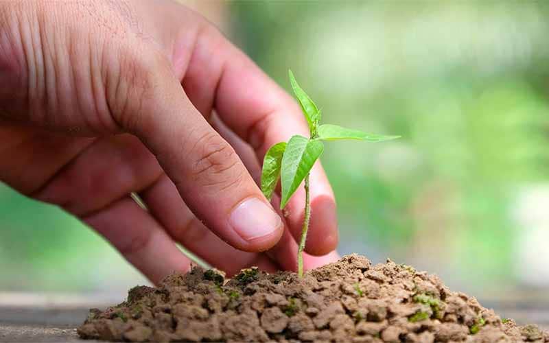 Turismo sostenibile nel Pollino: cosa significa sul campo