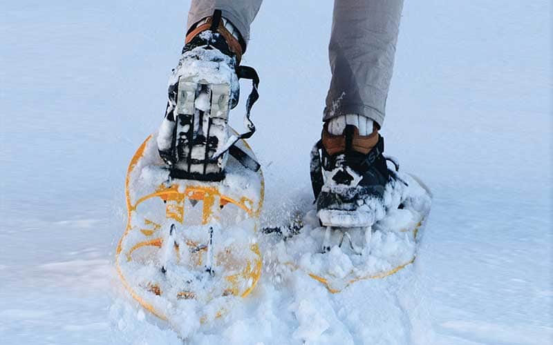 Ciaspolata sui pianori innevati del Pollino con i Pini Loricati