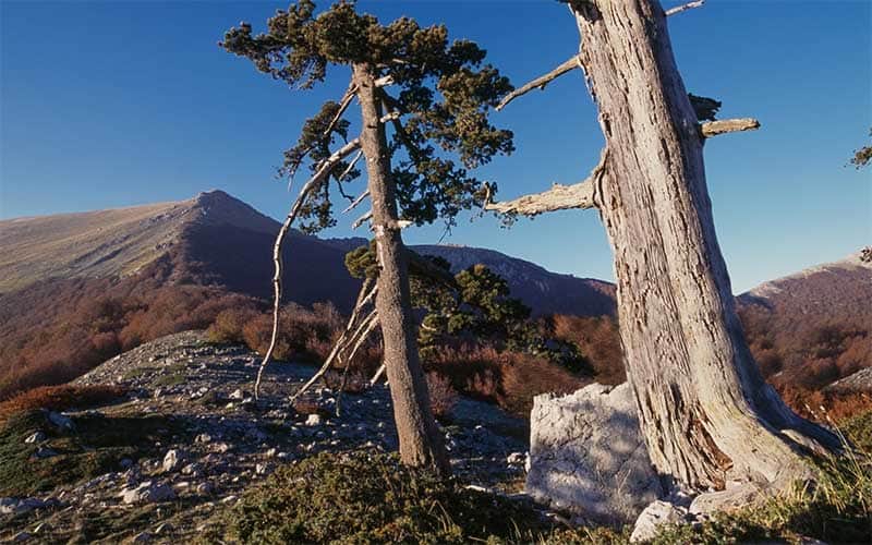 Trekking verso Serra Dolcedorme, la vetta più alta del Pollino
