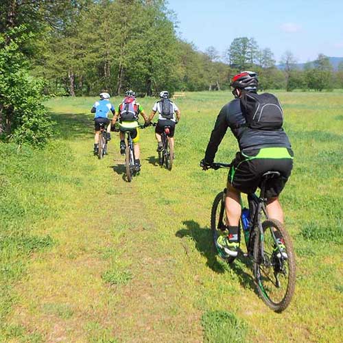 Mountain Bike sul Pollino