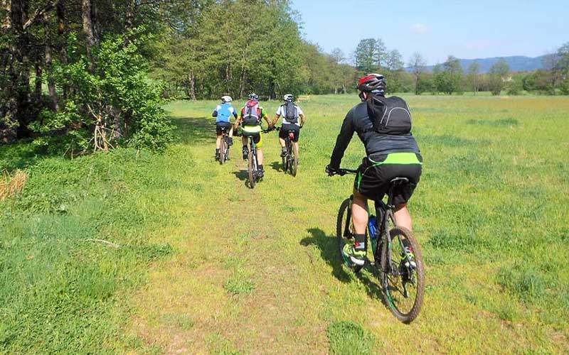 Mountain Bike sul Pollino