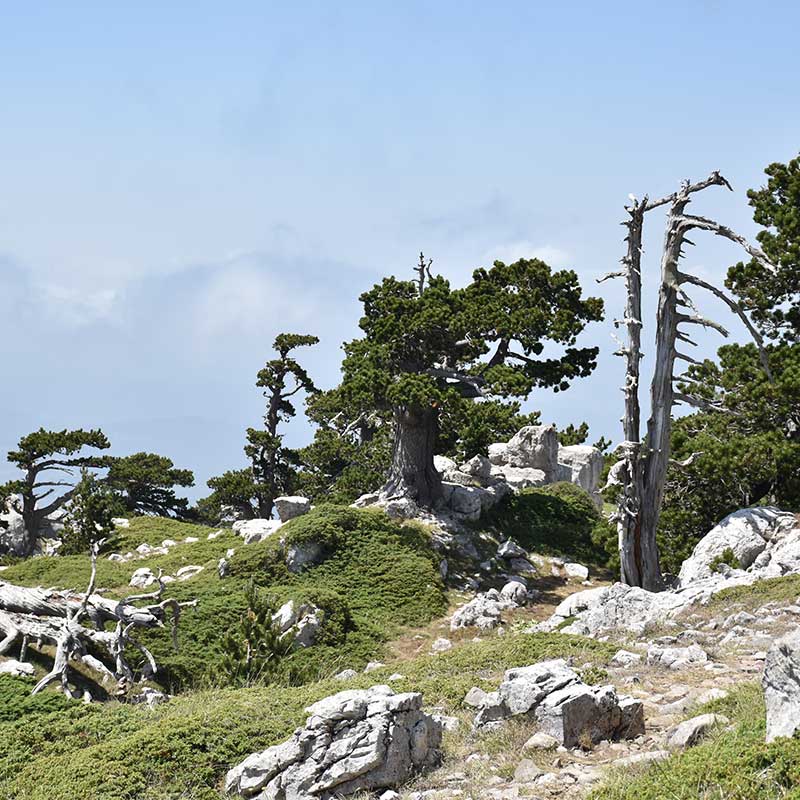 Trekking-Giardino-degli-Dei