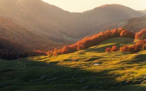 Autunno sul Pollino