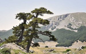 Giardino degli Dei Trekking