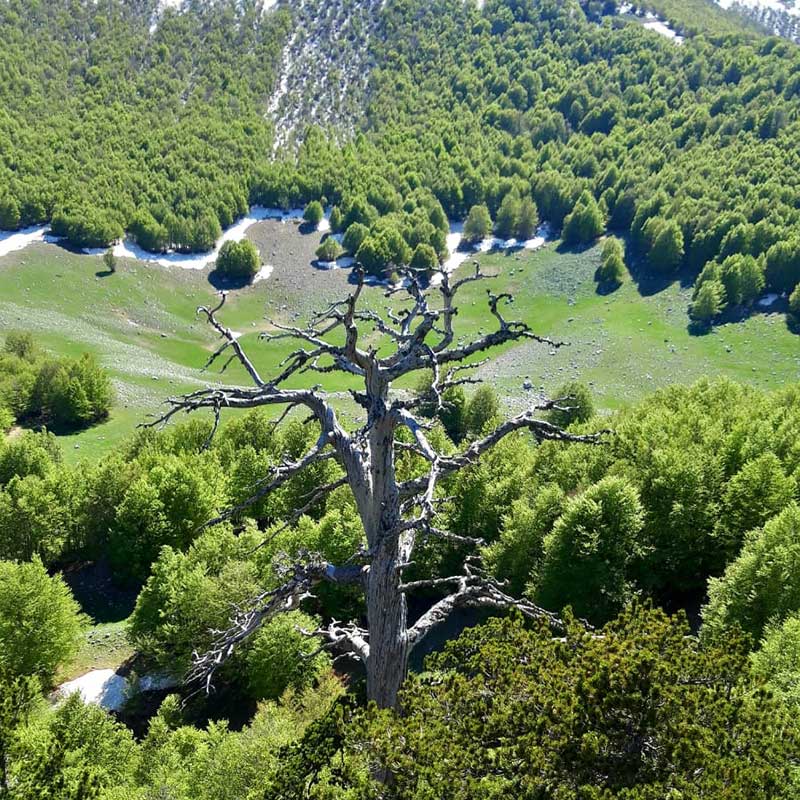 Italus-Serra-delle-ciavole