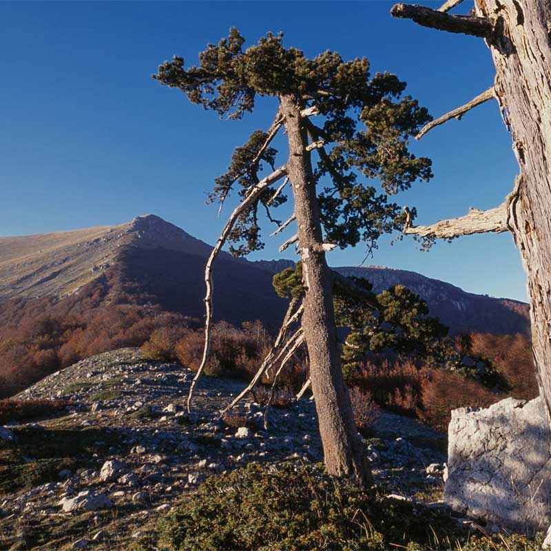 Trekking Serra Dolcedorme