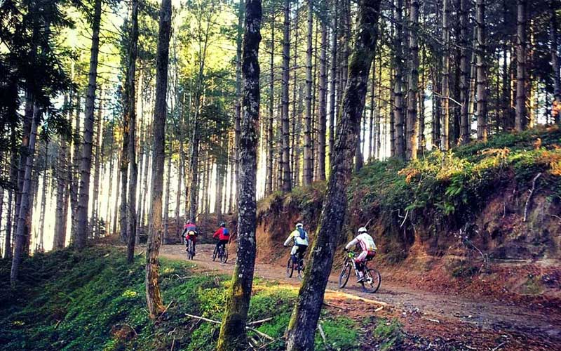 Mountain Bike sul Pollino